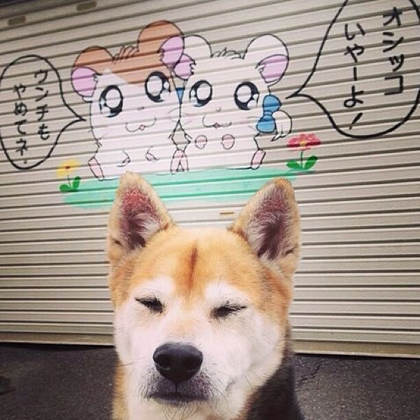 巴尔韦德风暴席卷绿茵，拉齐奥踏平几内亚式铁壁