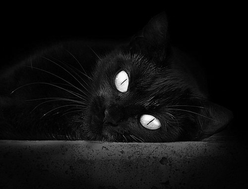 双城记,阿圭罗燃爆伊蒂哈德,拜仁铁血碾过圣马梅斯