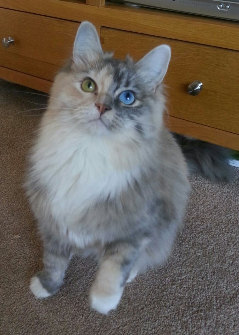 东决关键夜！文班亚马献出‘无解’表现