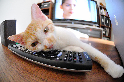 骑士节奏掌控公牛，字母哥式统治力成为胜负手