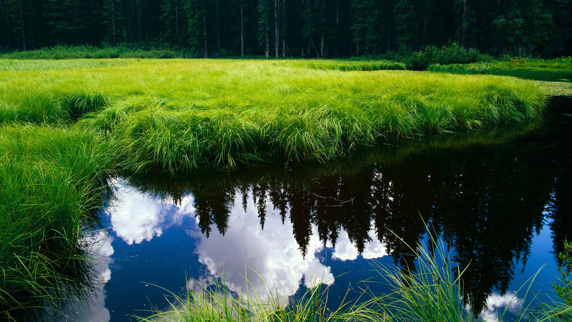 街道上的刺客,当F1爆胎掀翻巨头,瑞典的钢铁防线绞杀曼城帝国