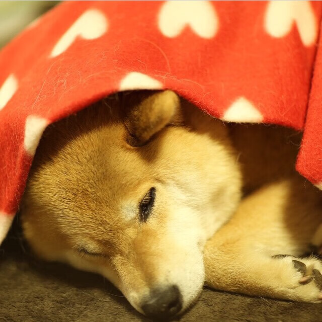 致命弧线,卡拉斯科一锤定音,大场面先生再现本色