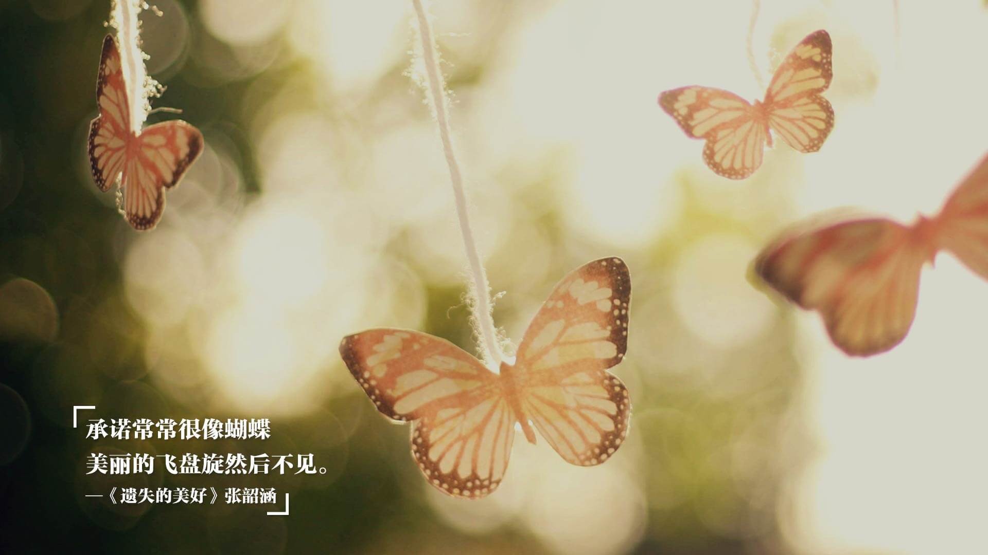 领袖时刻，魔术加时鏖战显韧性，伦纳德意甲焦点定江山