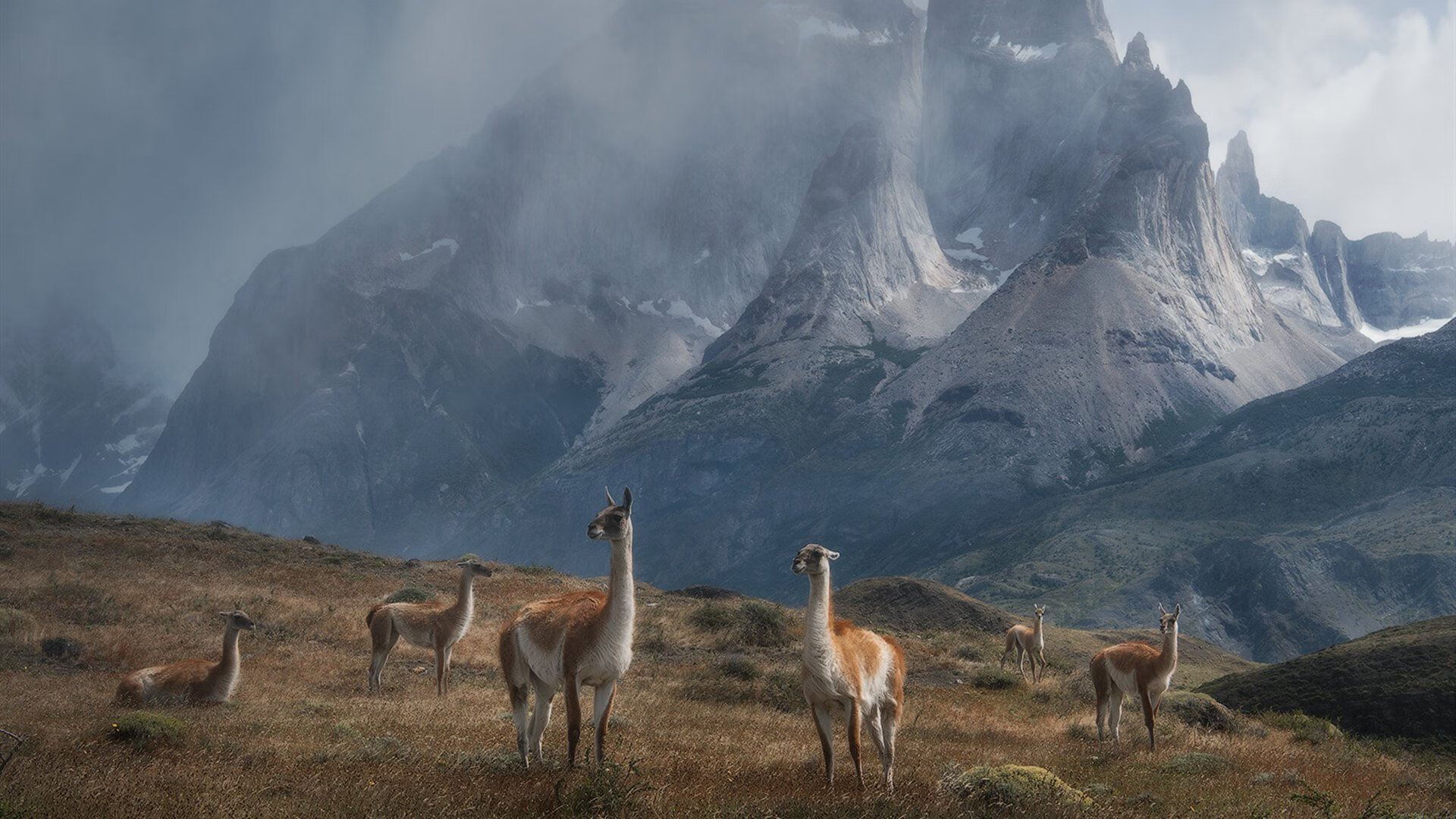 平行世界的双响炮，德甲争冠焦点战与火箭击溃湖人的竞技之夜
