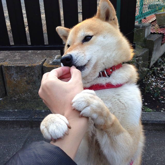 开云下载-新王加冕，加维一战封神，力压尤文巴黎巨星闪耀排名争夺战