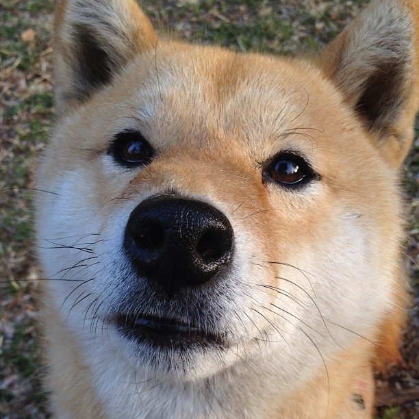 绝杀之夜，莫德里奇终场救主，瑞士俱乐部惊险逆转毕尔巴鄂