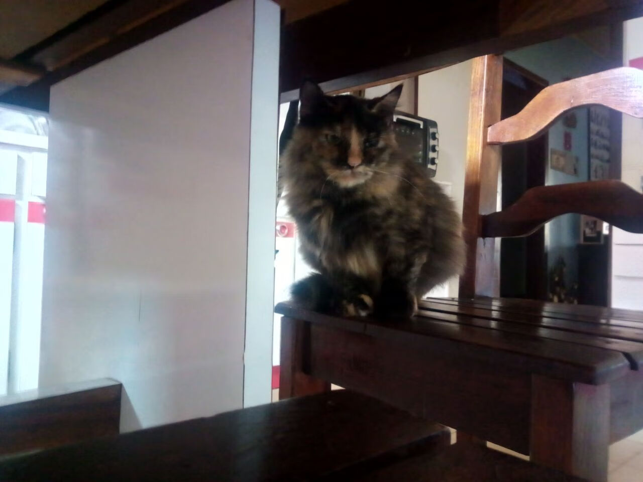 蓝黄风暴席卷拜耳竞技场，乌克兰火力全面压制勒沃库森，奥斯梅恩化身决胜关键先生