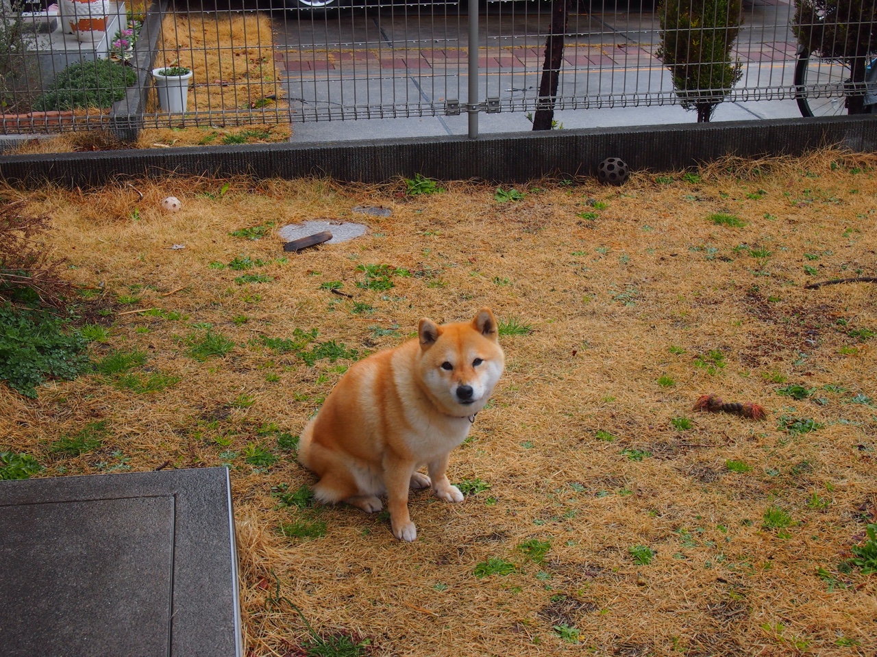 开云体育入口-史诗逆转与冰封突破，当西决悬念撞上瑞典硬仗的足球哲学