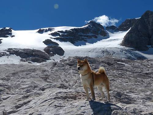 英超争冠之夜，福克斯关键回合不手软，铸就蓝月传奇